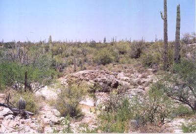 0 East Derrio Road Marana, AZ 85653 - Photo 3 of 6