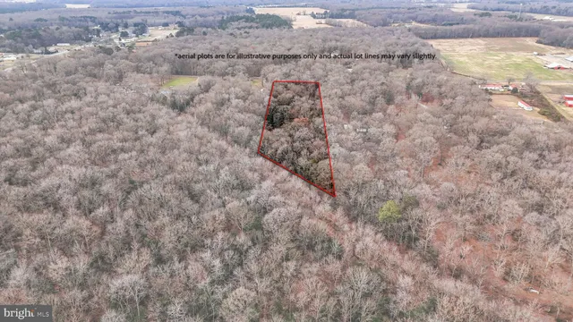 a view of a dry yard