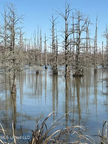 $342,000 | 331 Lake Washington Road East, Glen Allan, MS 38744