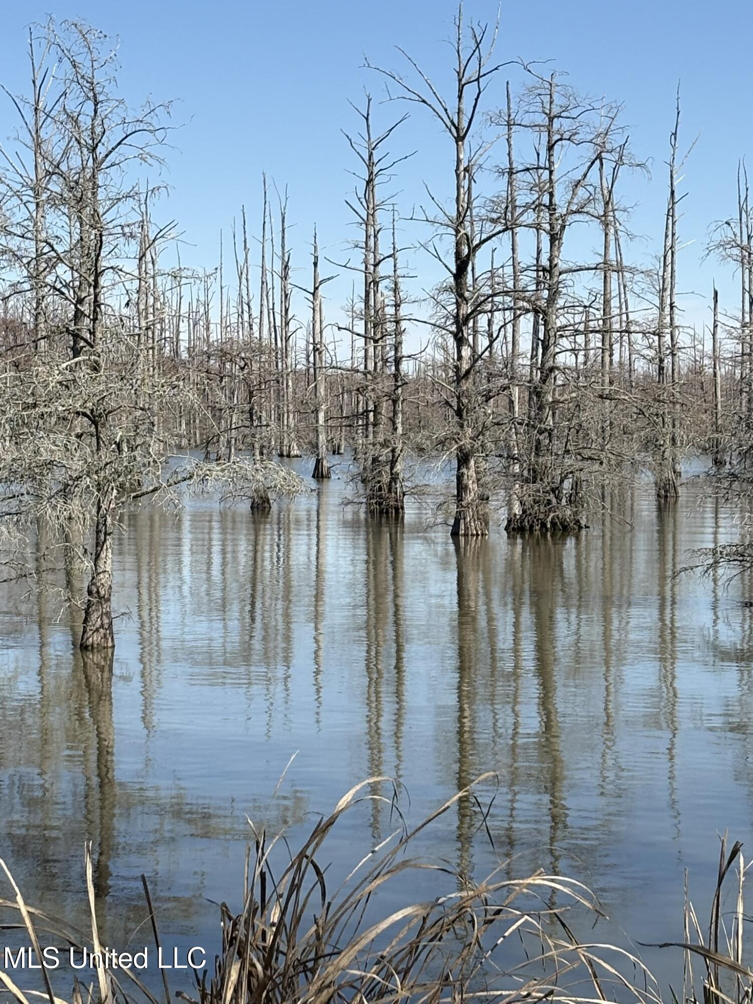 331 Lake Washington Road East Glen Allan, MS 38744 - Photo 15 of 24 LW 331 Lake View Main1