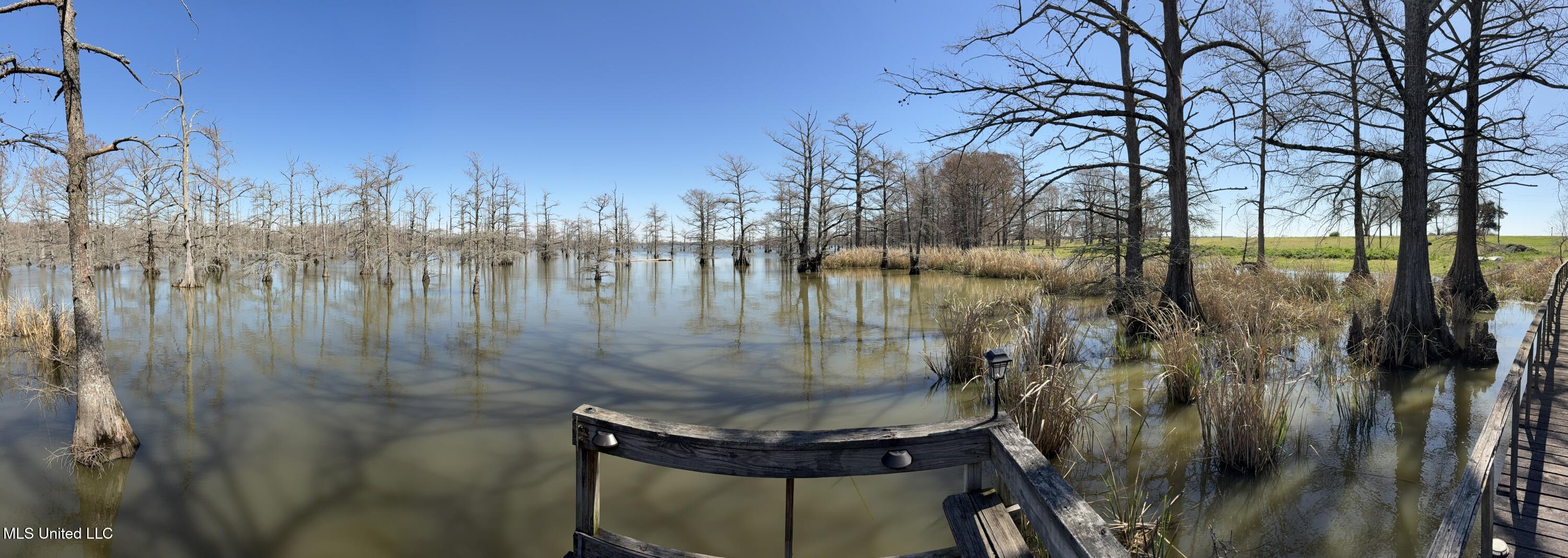 331 Lake Washington Road East Glen Allan, MS 38744 - Photo 16 of 24 LW 331 Deck view 3