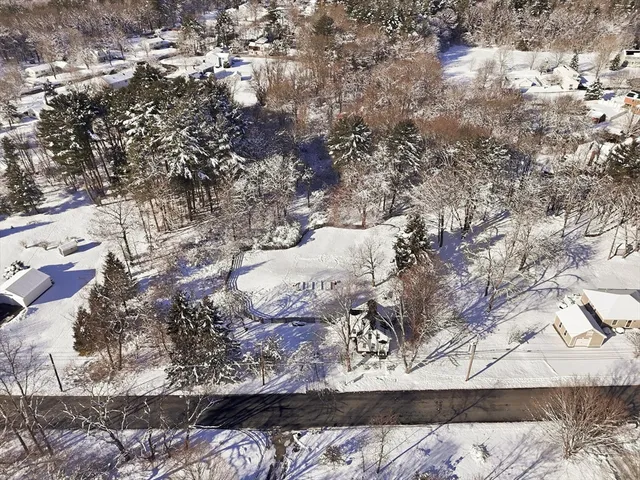 a view of a tree with a yard