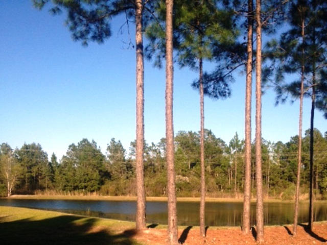 743 Earl Godwin Road Freeport, FL 32439 - Photo 14 of 14 Gallery Image 14