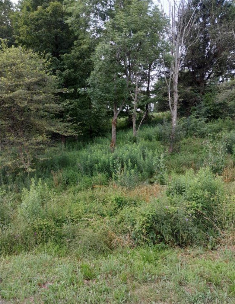0 Stauber Road Groton, NY 13073 - Photo 9 of 13