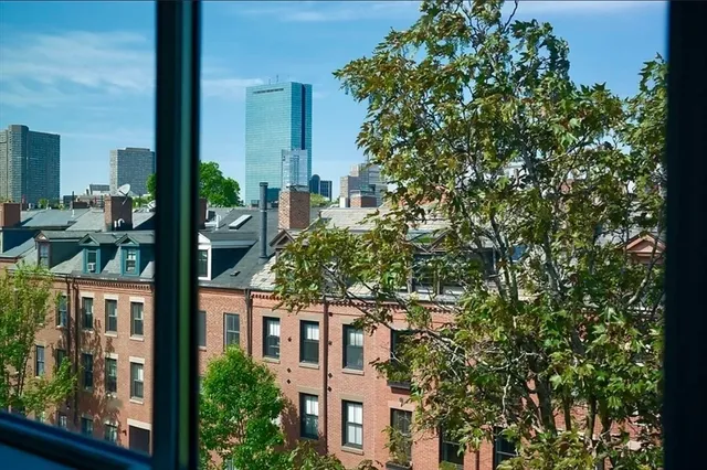an outdoor space view with plants