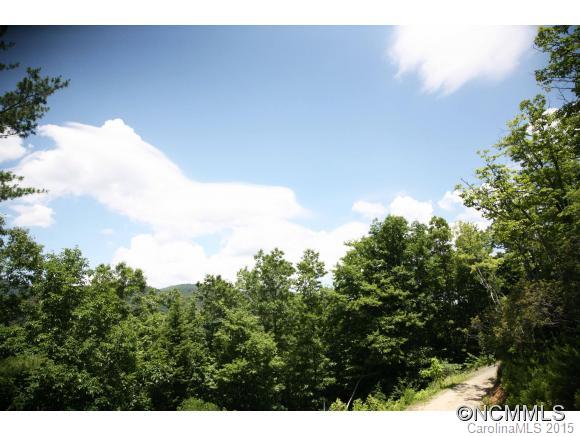 37 New Lite Road Fairview, NC 28730 - Photo 24 of 24 Gallery Image 24