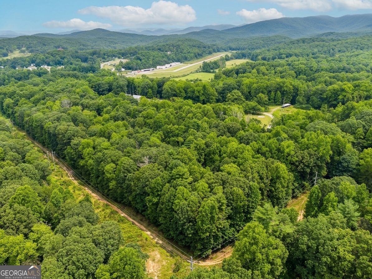 380 Guy Wimpy Road, Unit LOT 2 Dahlonega, GA 30533 - Photo 17 of 23