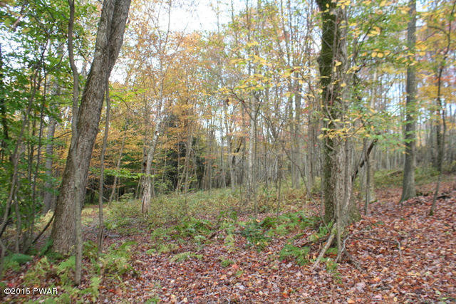 125 Duran Road Equinunk, PA 18417 - Photo 32 of 37 Gallery Image 32