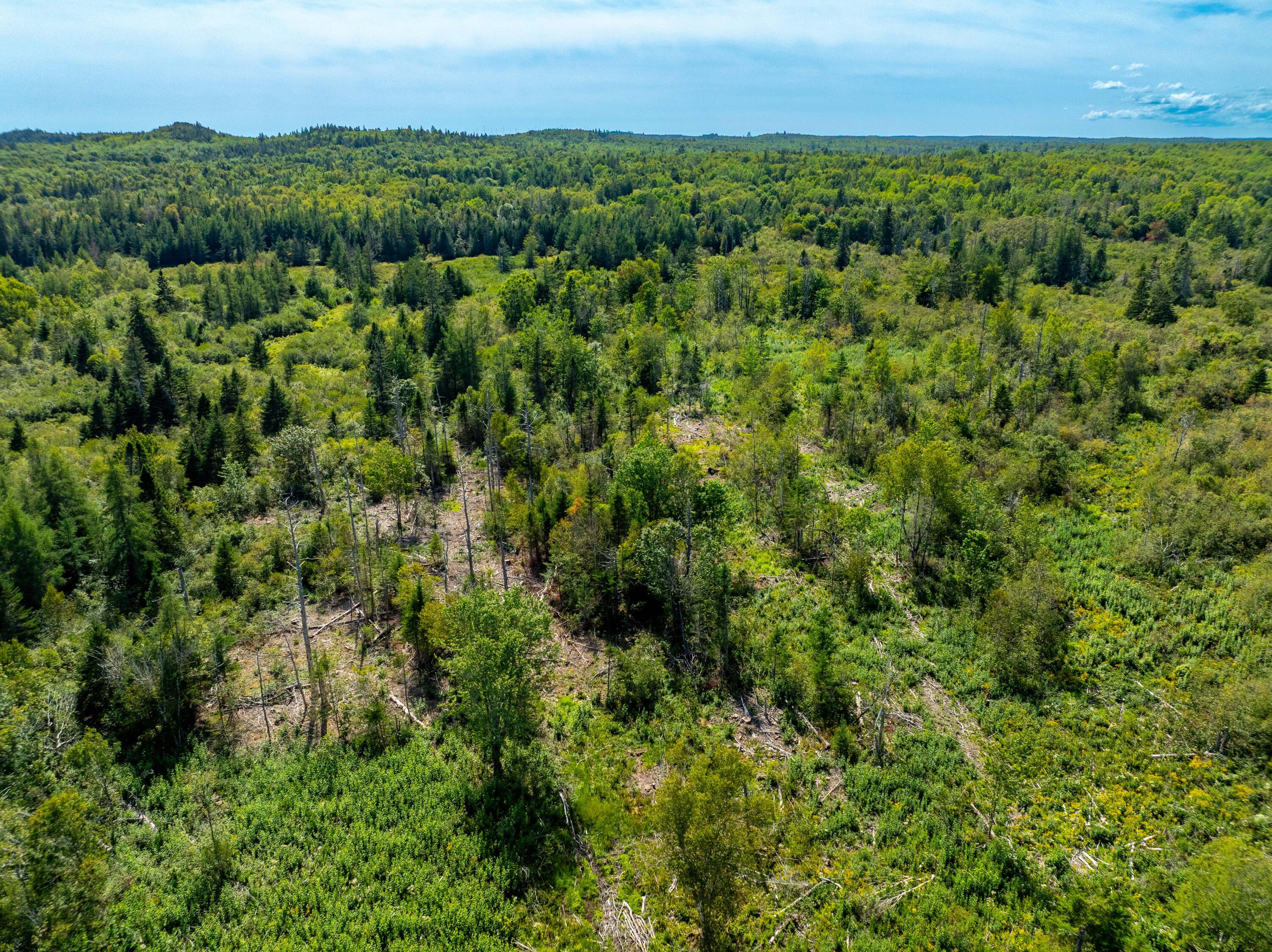 2 Map Lubec, ME 04652 - Photo 27 of 79 530+- acres Trescott Twp Maine (26 of 80