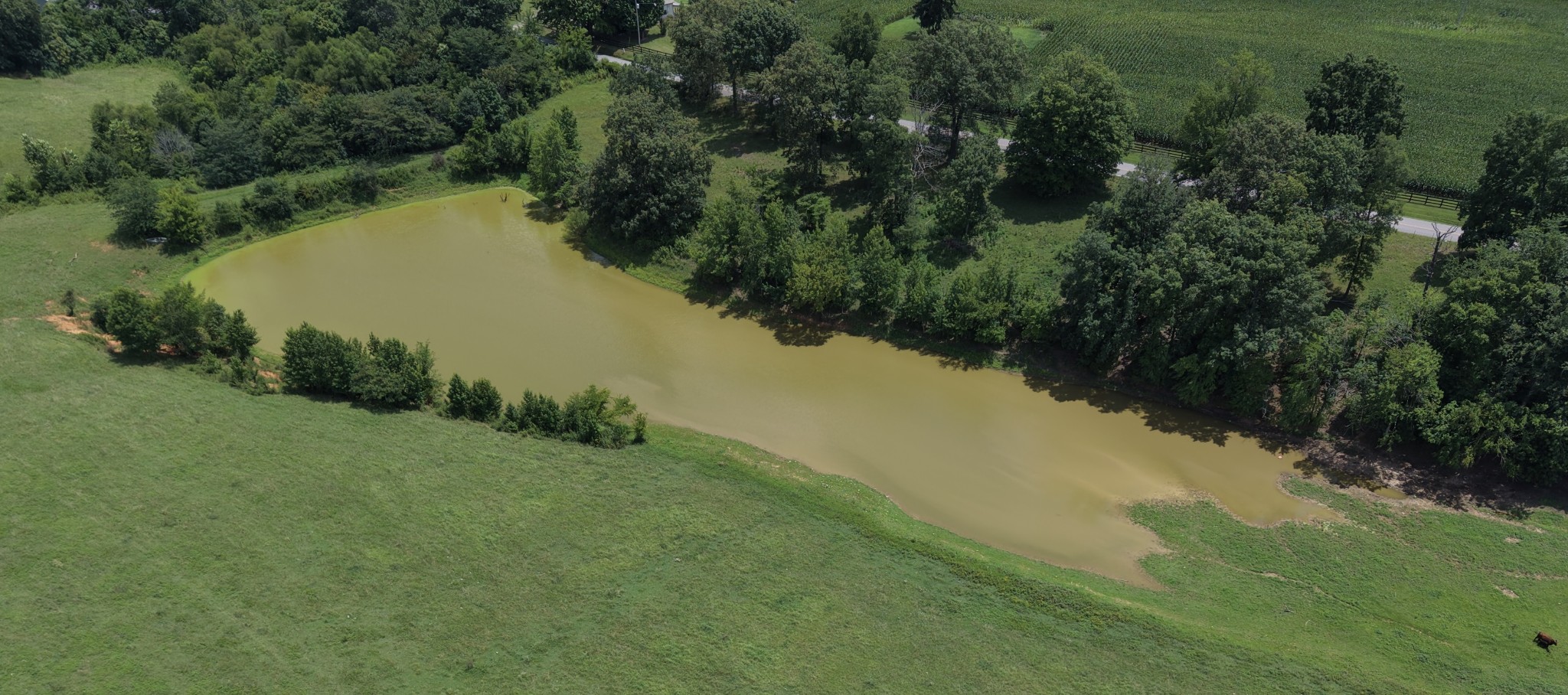 0 Gause Road Pleasant View, TN 37146 - Photo 2 of 7