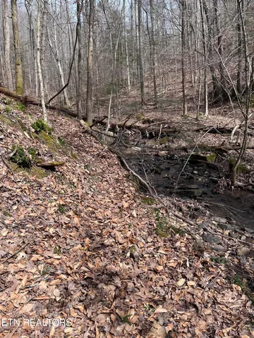 $249,000 | Watson Branch Lane, Speedwell, TN 37870