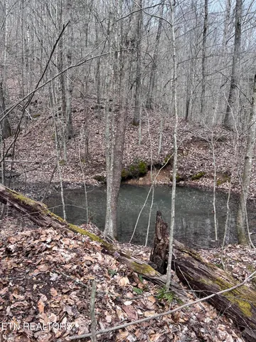 $249,000 | Watson Branch Lane, Speedwell, TN 37870