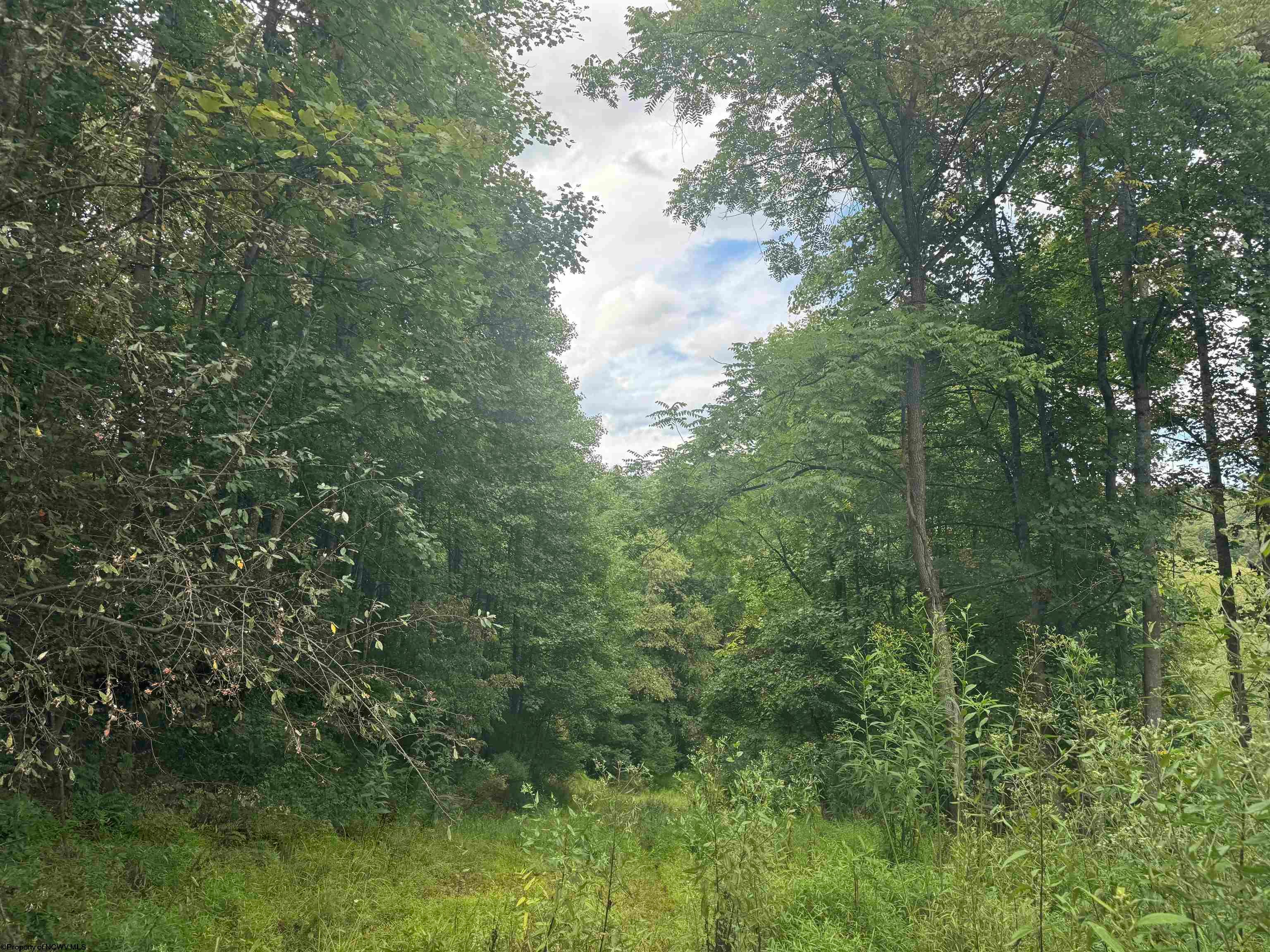 257 McFarland Run Road Rivesville, WV 26588 - Photo 1 of 15 Gallery Image 1