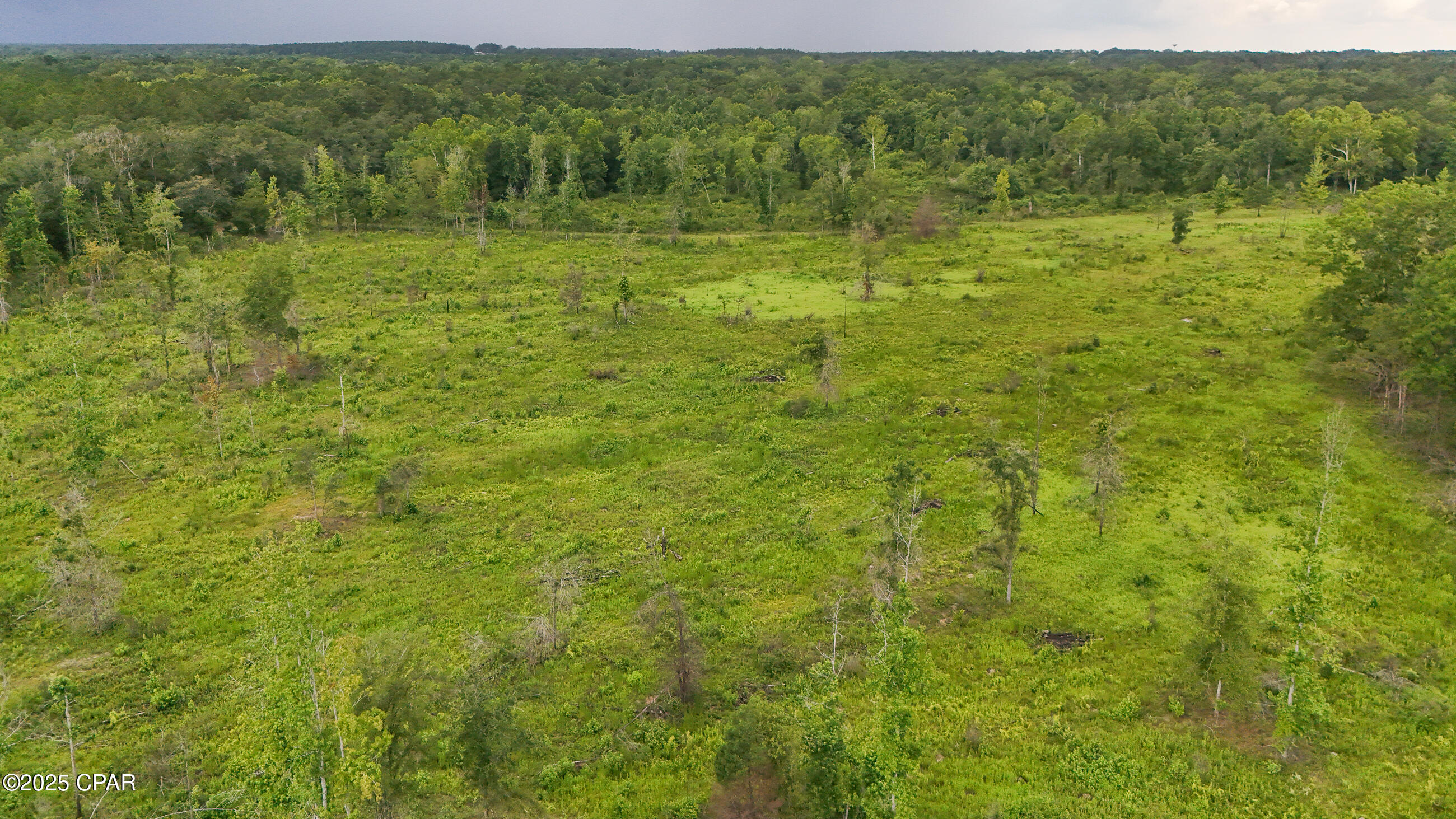 0 Bush Road Bonifay, FL 32425 - Photo 11 of 16