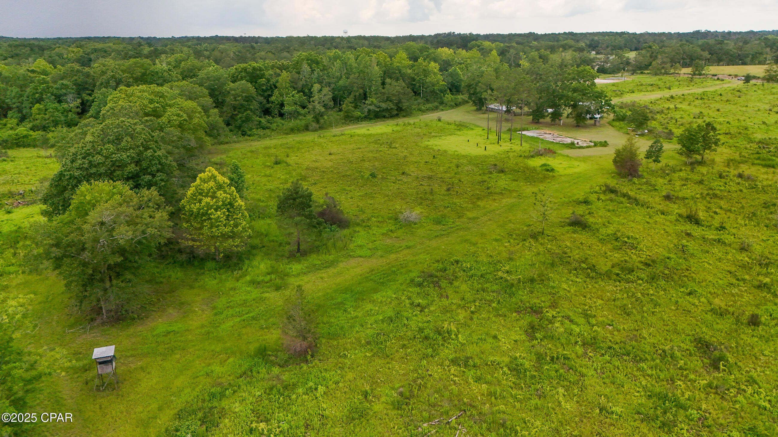 0 Bush Road Bonifay, FL 32425 - Photo 13 of 16