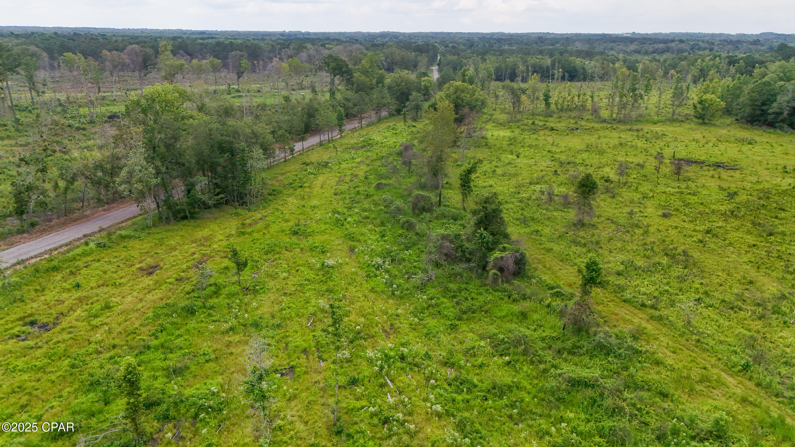 0 Bush Road Bonifay, FL 32425 - Photo 14 of 16