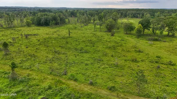 $219,000 | 0 Bush Road, Bonifay, FL 32425