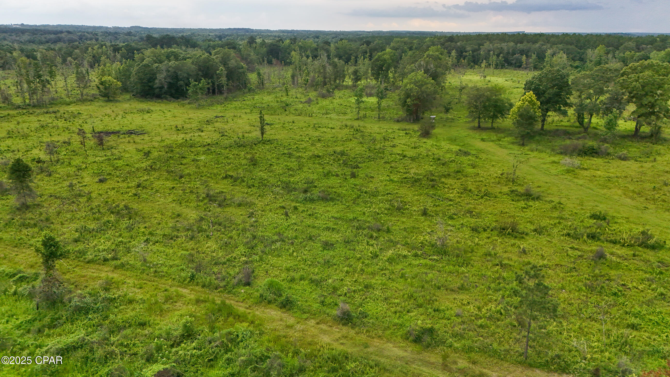 0 Bush Road Bonifay, FL 32425 - Photo 15 of 16