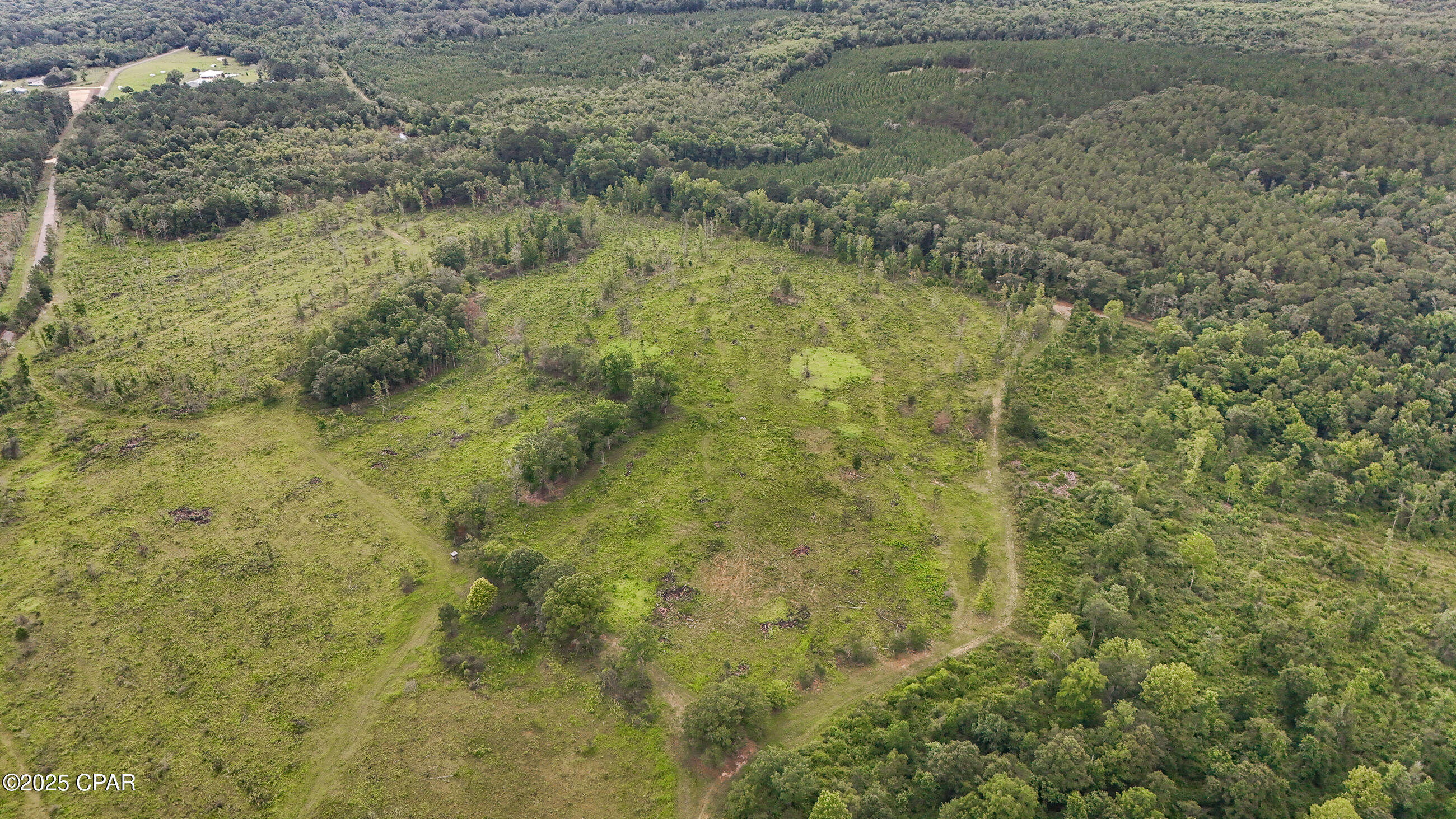 0 Bush Road Bonifay, FL 32425 - Photo 4 of 16
