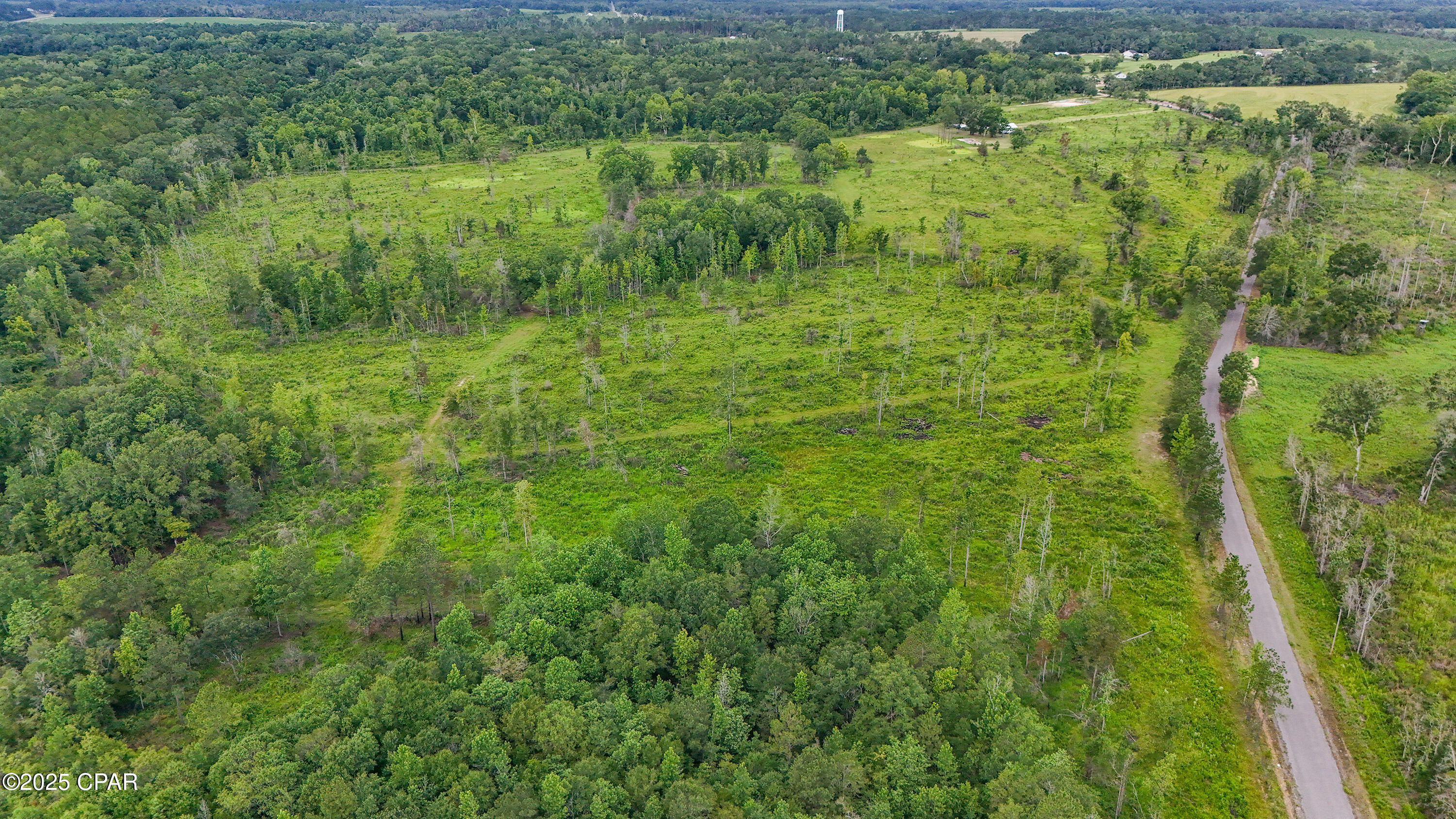 0 Bush Road Bonifay, FL 32425 - Photo 6 of 16