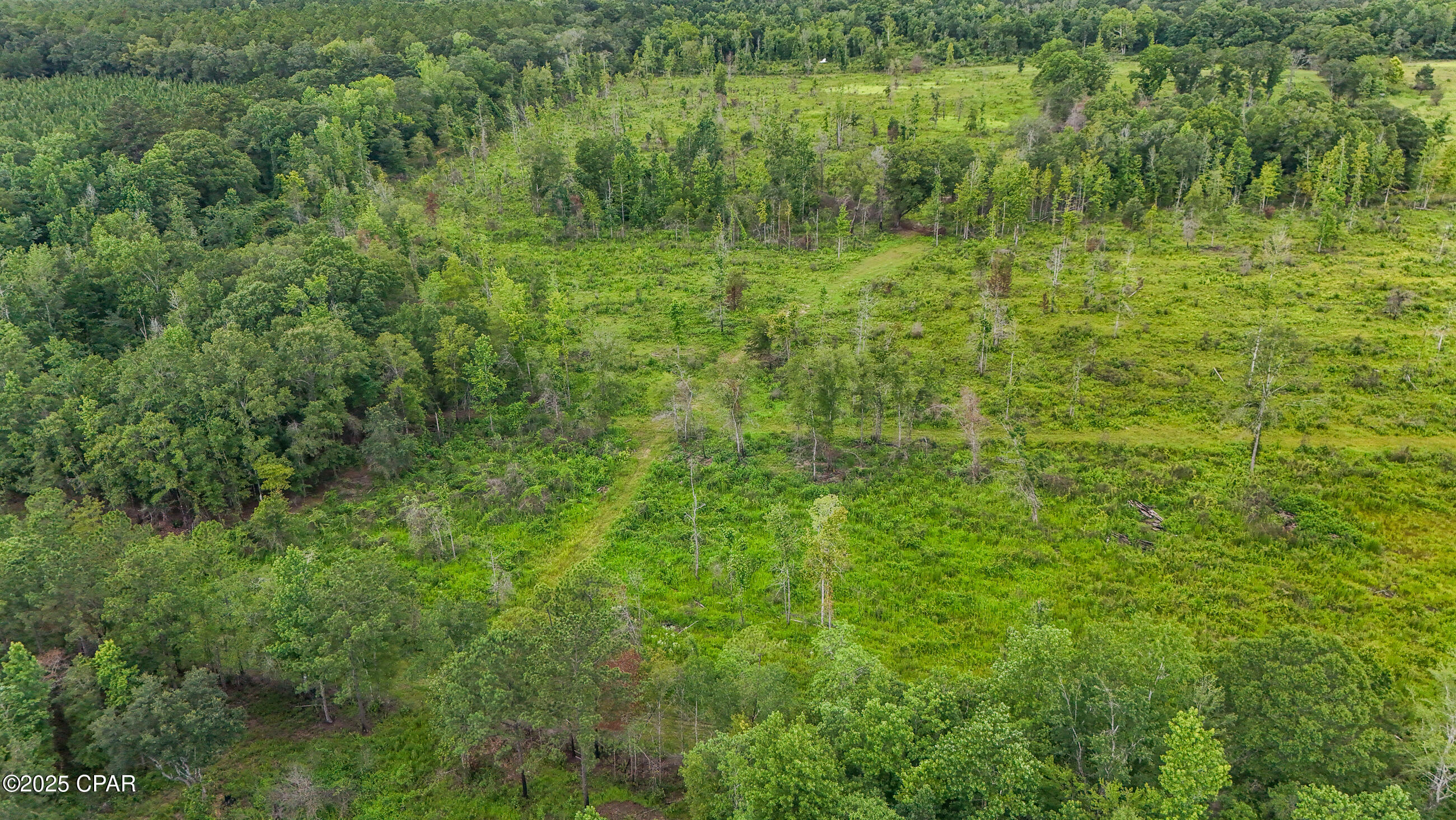0 Bush Road Bonifay, FL 32425 - Photo 7 of 16