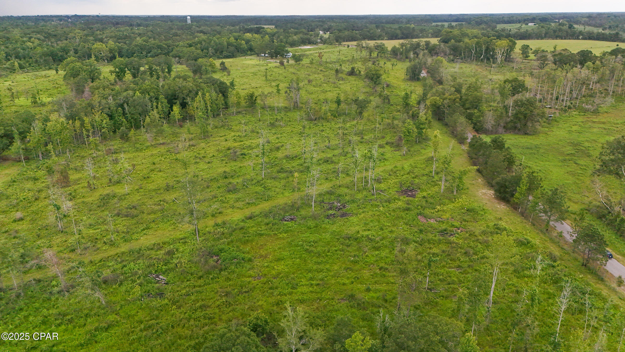 0 Bush Road Bonifay, FL 32425 - Photo 8 of 16