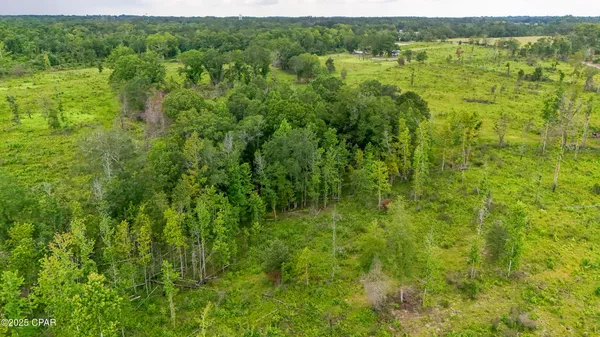 $219,000 | 0 Bush Road, Bonifay, FL 32425