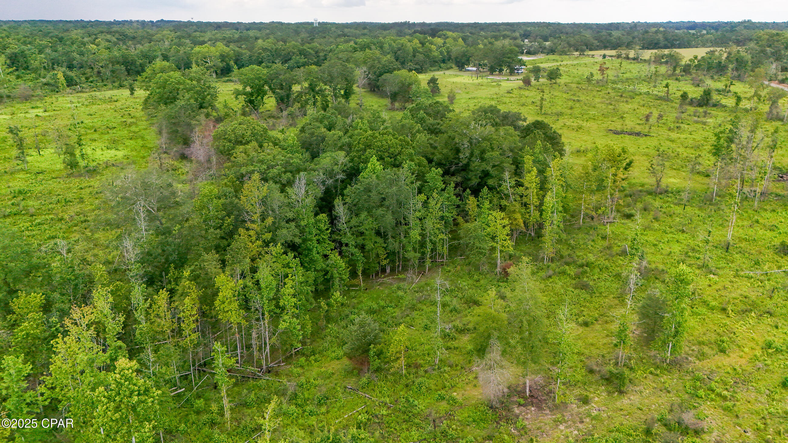 0 Bush Road Bonifay, FL 32425 - Photo 10 of 16