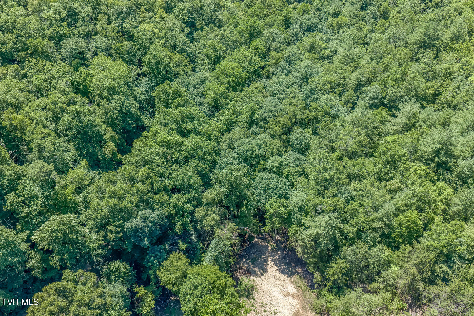 Tbd Bailey Hollow Road, Unit 4 Erwin, TN 37650 - Photo 7 of 49 TBD Bailey Hollow Rd-3
