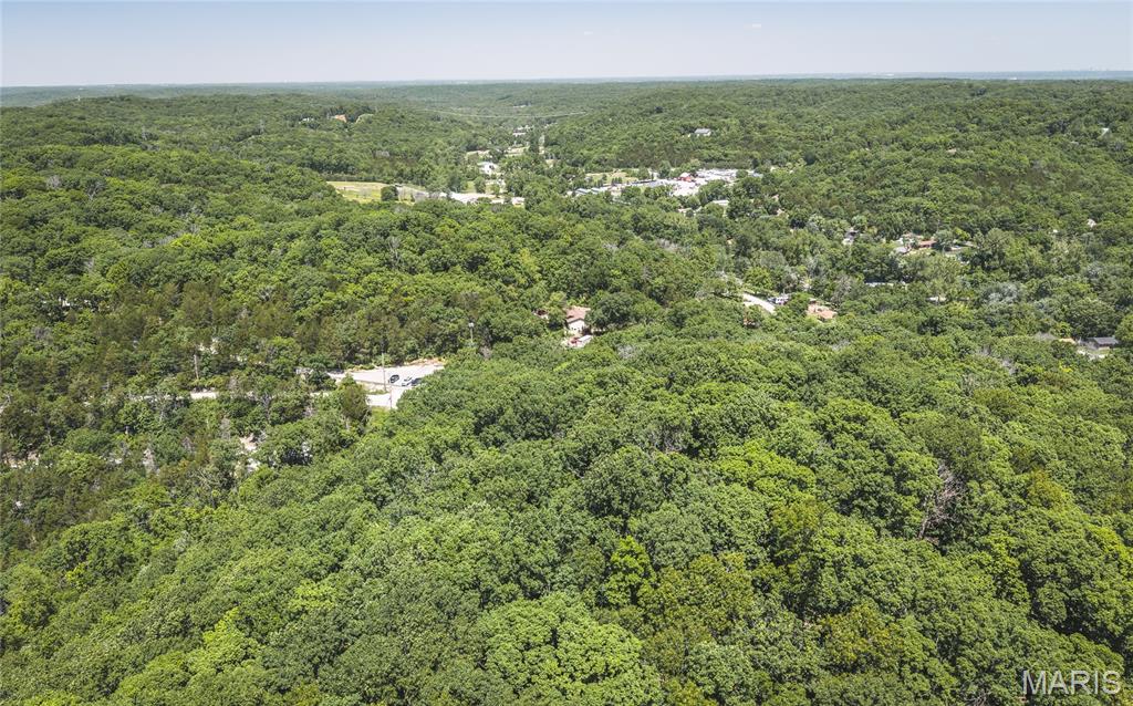 3000 Byrnes Mill Road High Ridge, MO 63049 - Photo 10 of 19