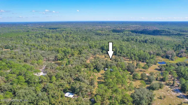 a view of a yard with trees in the background