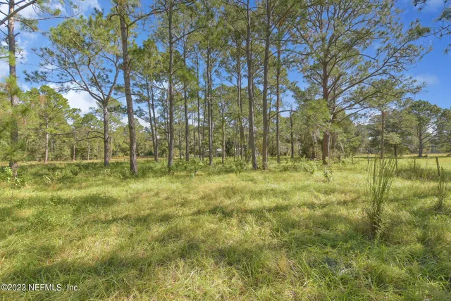 a view of backyard with green space