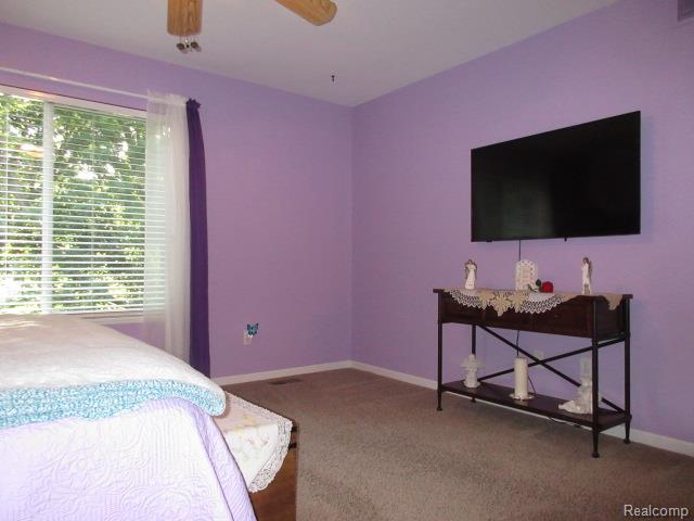11356 Tall Shadows Court Pinckney, MI 48169 - Photo 20 of 29 IMG_0932.JPG