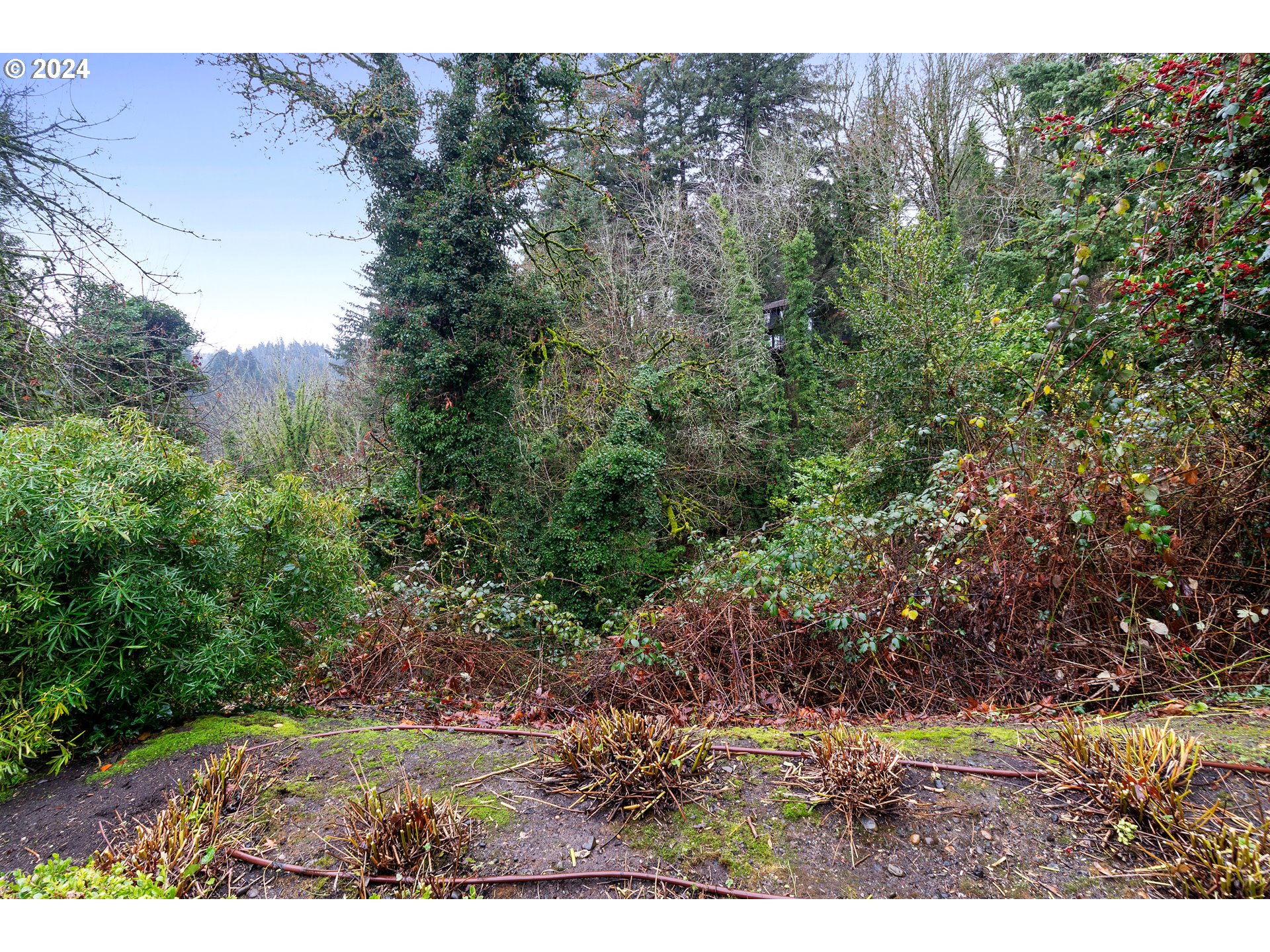 0 Southwest Canning Street Portland, OR 97201 - Photo 1 of 11 Gallery Image 1