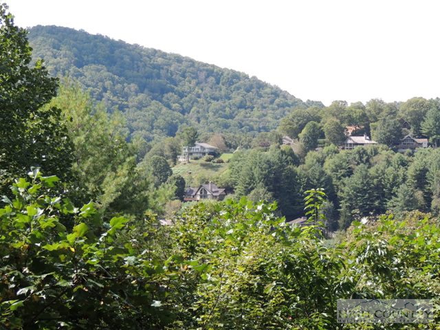 243 Spruce Street Boone, NC 28607 - Photo 30 of 38 Gallery Image 30