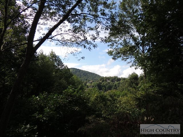243 Spruce Street Boone, NC 28607 - Photo 31 of 38 Gallery Image 31