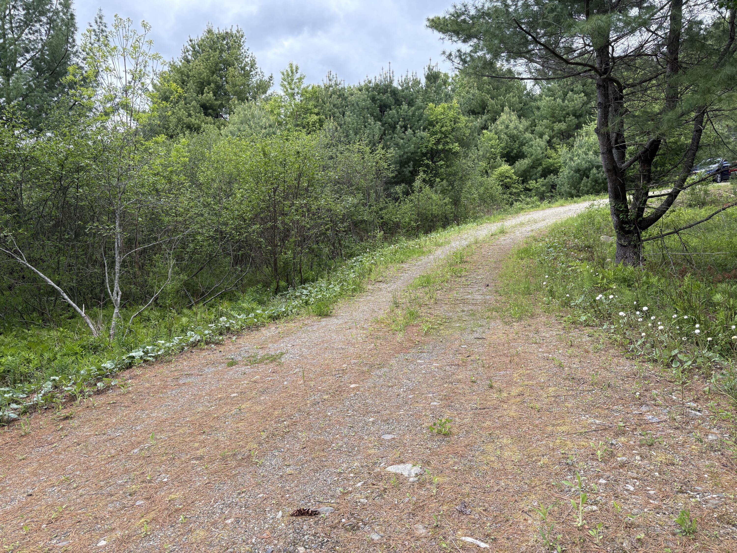 6-52a West Waldo Road Belfast, ME 04915 - Photo 3 of 10 IMG_7130