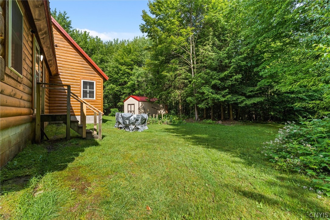 9831 Steam Mill Road Camden, NY 13316 - Photo 36 of 42 Enjoy plenty of open space surrounded by mature tr