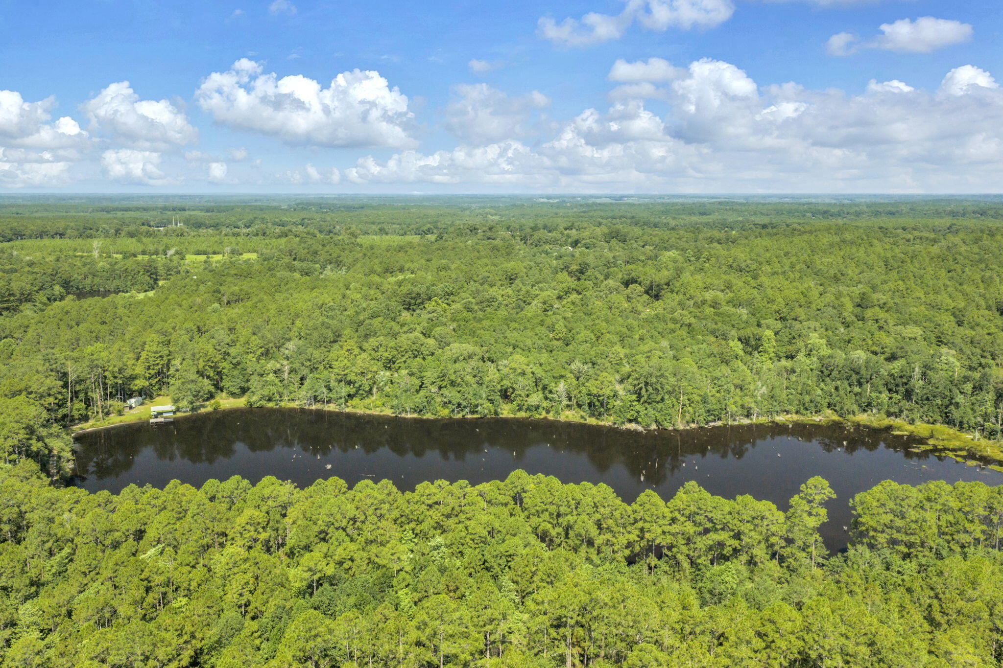 82 Acres 4 Flags Road Laurel Hill, FL 32567 - Photo 24 of 45 20-web-or-mls-DJI_20260702102534_0534_D