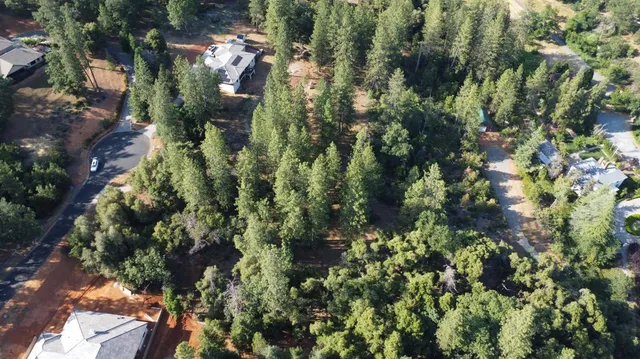 a view of a house with a tree