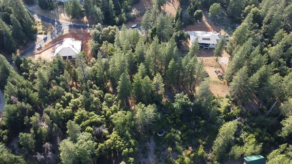 a view of a house with a tree