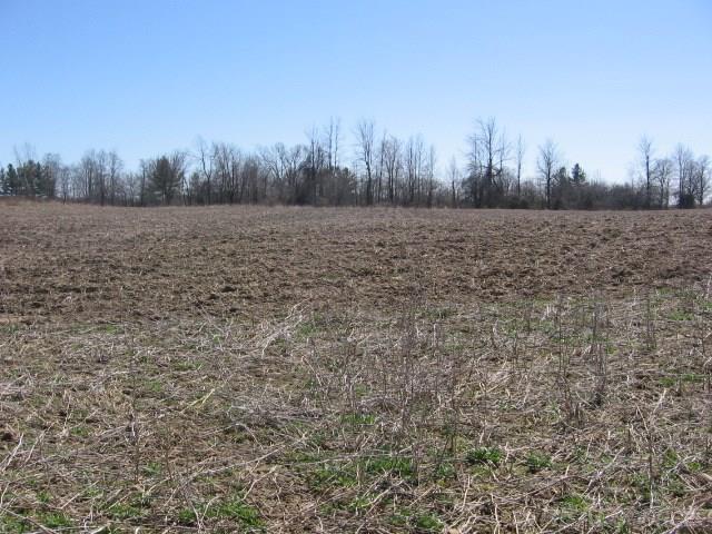 Vl Townsend Applegate, MI 48401 - Photo 24 of 31