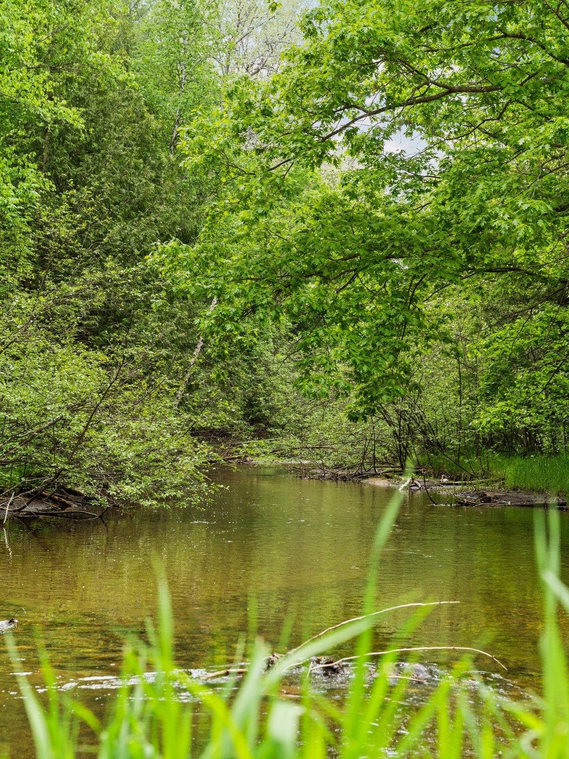 8415 West Workman Road Lake City, MI 49651 - Photo 58 of 83