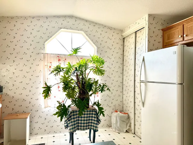 a white refrigerator with a potted plant on the wall