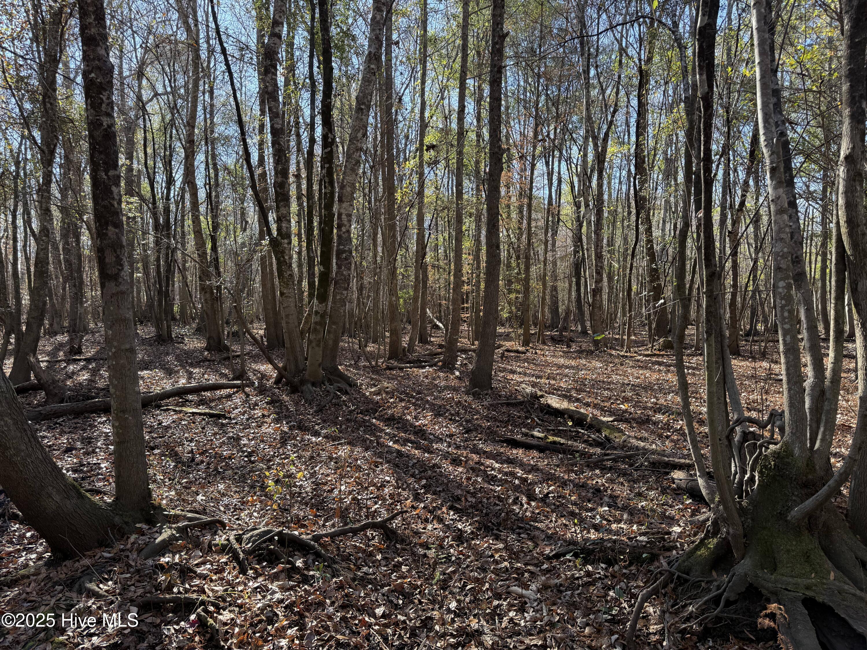 0 Macedonia Church Road Evergreen, NC 28438 - Photo 29 of 34 Image 29