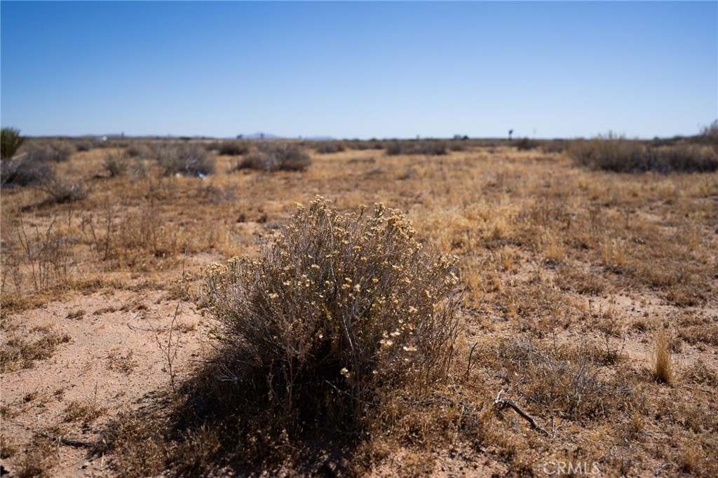 0 Easy Boron, CA 93516 - Photo 2 of 9