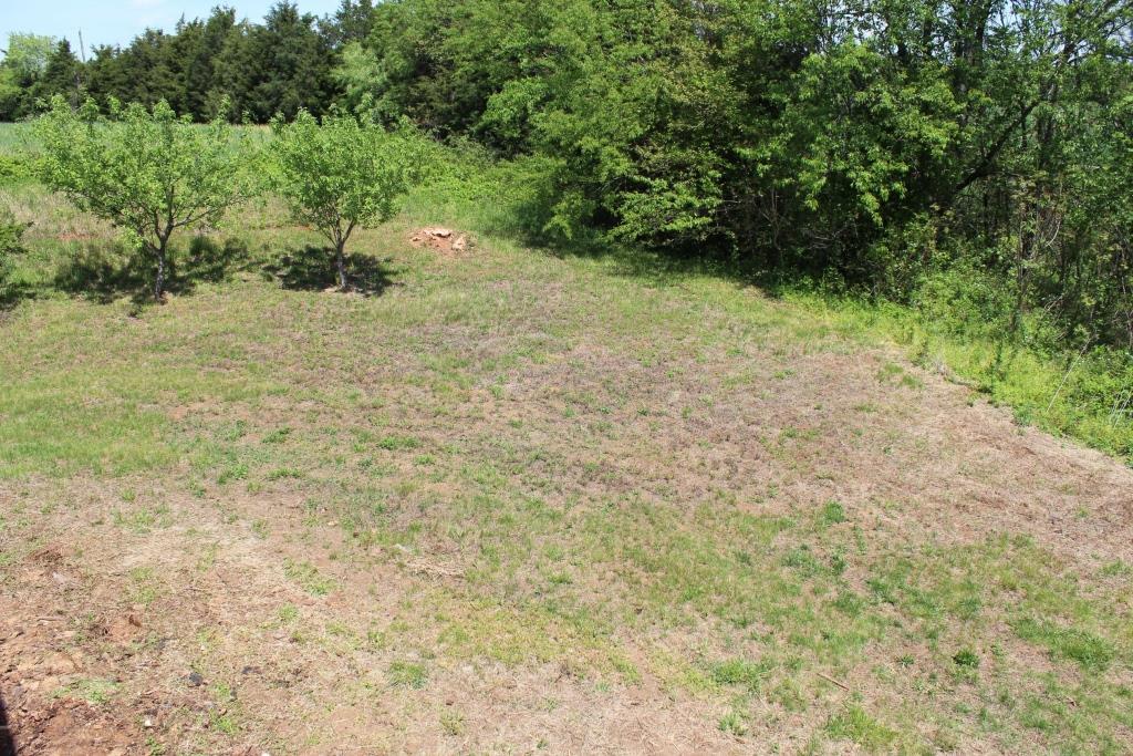 2090 Alean Road Wirtz, VA 24184 - Photo 10 of 24 Back yard