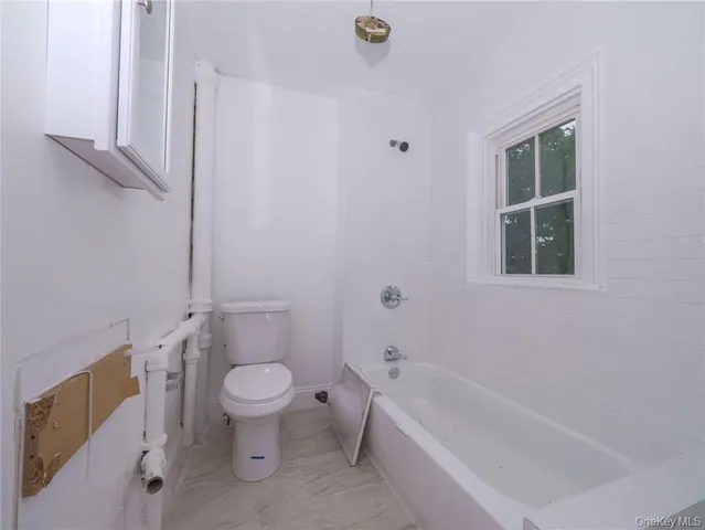 a bathroom with a toilet and a bathtub