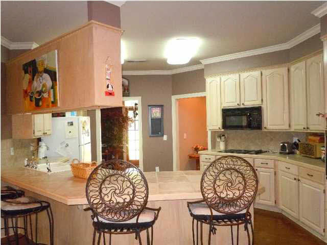 6438 Grants Ferry Road Brandon, MS 39047 - Photo 7 of 16 Kitchen