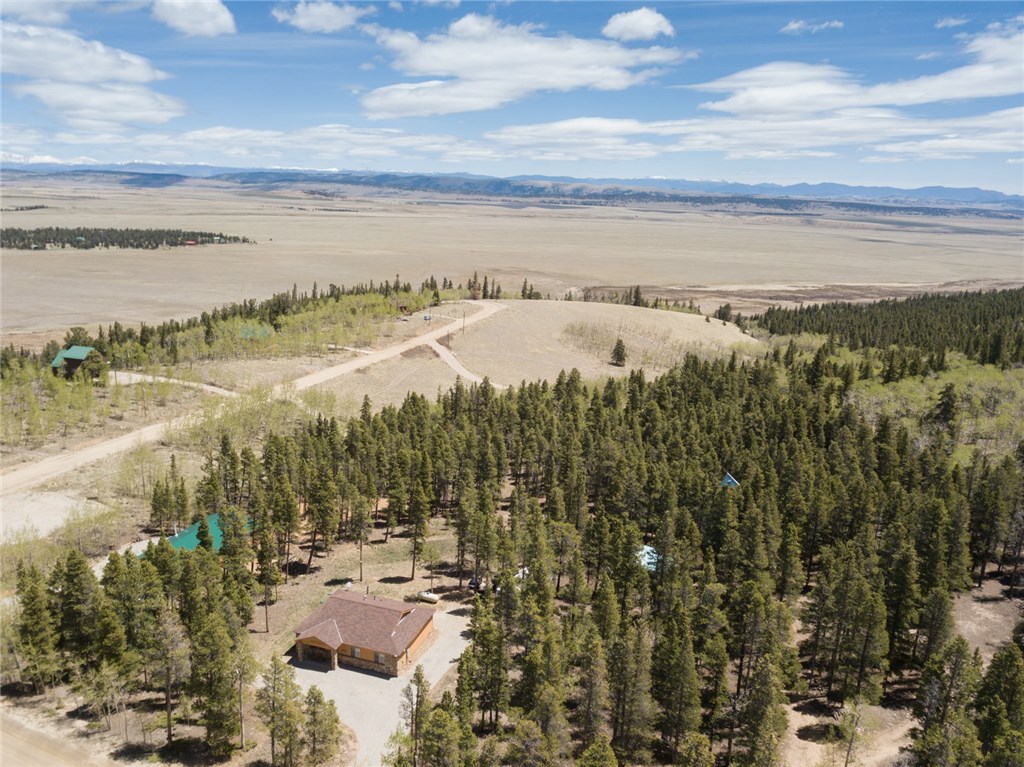 2152 High Creek Road Fairplay, CO 80440 - Photo 10 of 33 Gallery Image 10